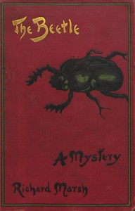 The Beetle cover